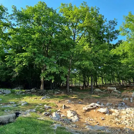 Villa Oasis Natura - Stanka *